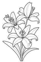 Lily flower Kids/ adults coloring page book art, line art illustration