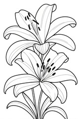 Lily flower Kids/ adults coloring page book art, line art illustration