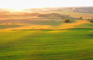Obraz premium Farm field on sunset. Foggy morning in countryside, aerial view. Agricultural corn field on sunset. Rural landscape in autumn landscape. Green Agricultural field in sun's rays, drone view.