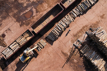 Excavator log grab crane loads timber in freight car. Crane claw load logs onto log train for lumber mill. Illegal logging, timber export. Wood Machine and Log Grabbing. Timber transporting, cut trees