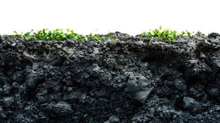 Soil Layers, Cross section of green grass and underground soil layer beneath, stratum of organic, minerals, sand, clay, Isometric soil layers isolated on transparent