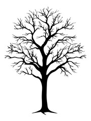 PNG  Wide tree silhouette drawing sketch.