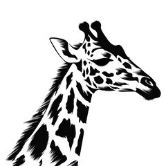 Obraz premium PNG Giraffe pattern on paint brush stroke wildlife drawing animal.