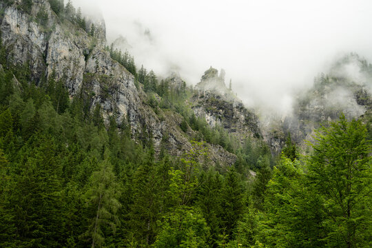 wafts of fog in the mountains of Austria