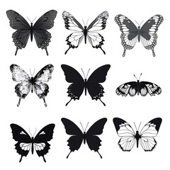Obraz premium silhouette of beautiful butterflies, isolated on a white