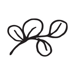 Round leaves on branch hand drawn vector illustration on isolated white