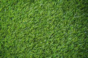 Artificial green grass floor selectively focuses on the detail and texture background or backdrop.