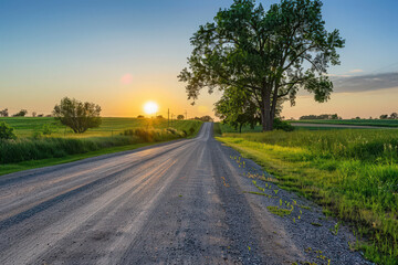 Fototapeta premium Rural road between fields in warm sunshine under dramatic sky, fresh vibrant colors,