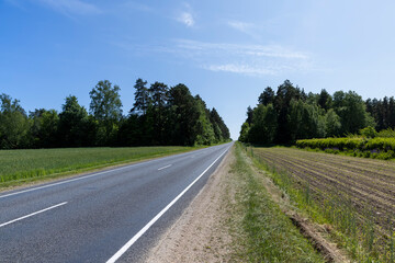 Naklejka premium a narrow paved road in the summer
