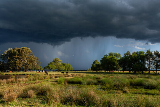 Incoming dark stormy rain clouds over sunlit rural farm paddock two birds flying into storm