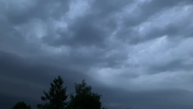 Stormy sky with dark rainy clouds and constant lightnings and flashes during storm over horizon with trees - real time. Topics: dangerously weather, meteorology, climate, season, summer, nature