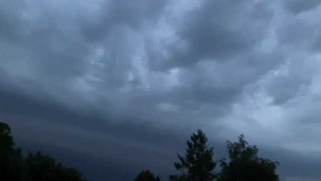 Stormy sky with dark rainy clouds and constant lightnings and flashes during storm over horizon with trees - real time. Topics: dangerously weather, meteorology, climate, season, summer, nature