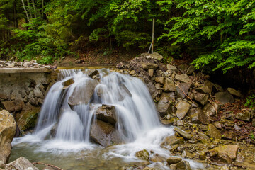 Woda płynąca w lesie  © Adam
