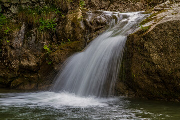 Woda płynąca w lesie  © Adam