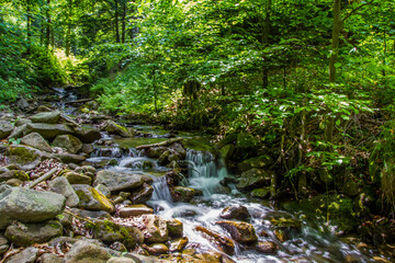 Woda płynąca w lesie  © Adam