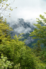 Blick vom Loser auf das tote Gebirge sowie das Ausseerland und den Dachsteingletscher, Salzkammergut, Streiermark, &Ouml;sterreich im Sommer