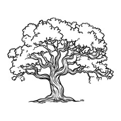 Sketch of oak tree. Black and white line art. Vintage tree logo isolated on background