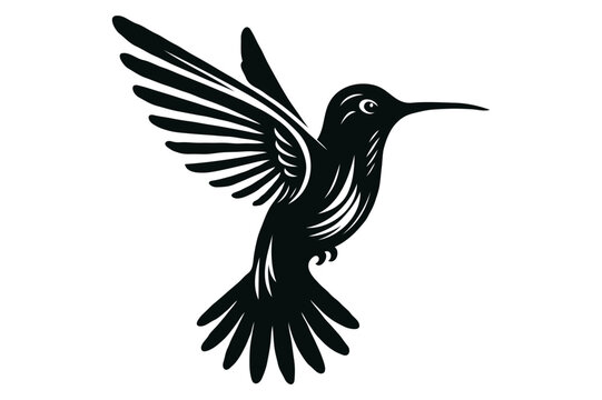 recommend clip art: Vintage engraving isolated hummingbird set illustration ink humming sketch. Bird background colibri tropical silhouette art. Black and white hand-drawn vector image
