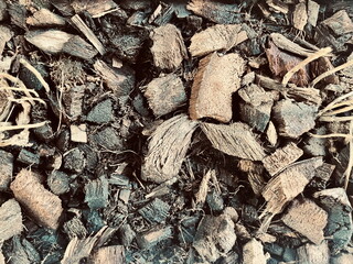 Close-Up of Wood Chips and Bark Mulch