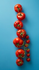 Tomatoes on vine against blue background