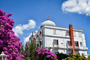Istanbul x Princes Island