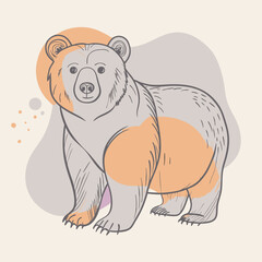 bear
