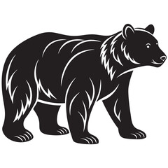 illustration of a bear
