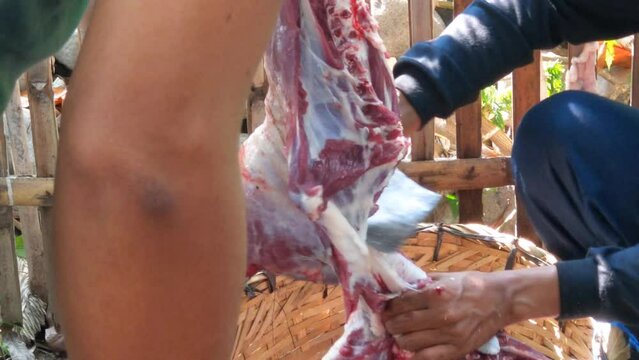 Close-up footage of a Muslim male butcher cutting goat meat to distribute to Muslims in need during Eid al-Adha Al Mubarak or the Feast of Sacrifice.