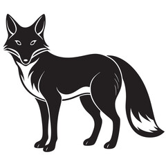 black and white Fox