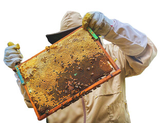 Pszczelarz w stroju ochronnym przy ulu z plastrem miodu i pszczołami. Przezroczyste tło. © YOUR SHOT