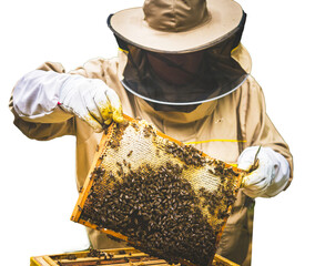 Pszczelarz w stroju ochronnym przy ulu z plastrem miodu i pszczołami. Przezroczyste tło. © YOUR SHOT