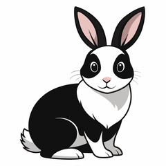 black and white rabbit