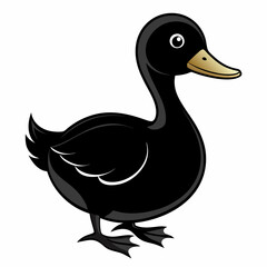 duck isolated on white