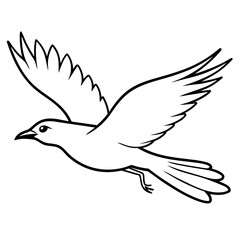 dove in flight