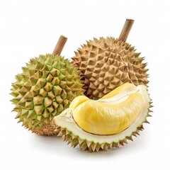 Obraz premium Close-up durian fruit, isolated on a white background, showcasing its spiky exterior and unique shape.