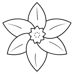 daffodil line art vector illustration