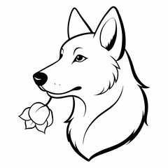 German shepherd smells a white rose flower  vector