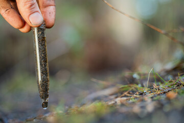 environmental scientist taking a sample in the forest looking at fungi and soil and plants in australia