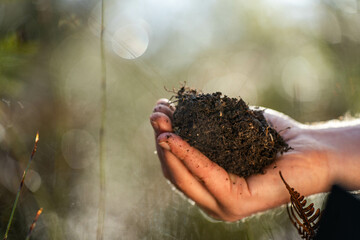 environmental scientist taking a sample in the forest looking at fungi and soil and plants in australia