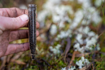 environmental scientist taking a sample in the forest looking at fungi and soil and plants in australia