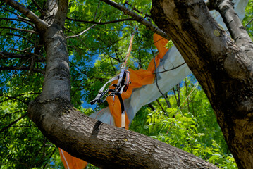 A parachute is tangled and hanging in the tree branches, indicating an unsuccessful landing for the parachutist.
