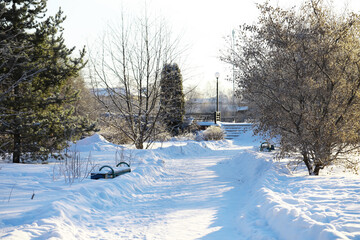 Winter Wonderland Park Pathway with Fresh Snow and Bare Trees under Clear Blue Sky