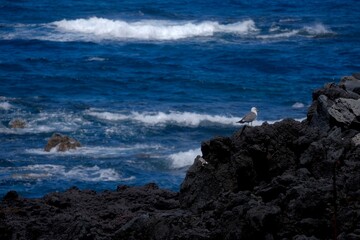 person on the rocks