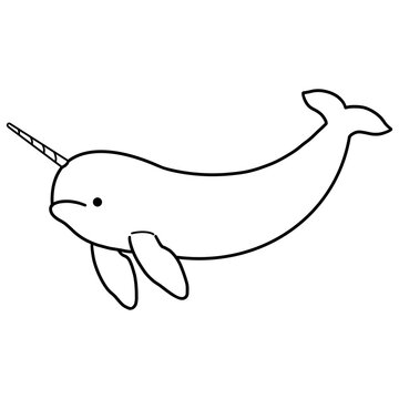 recommend clip art: Narwhal