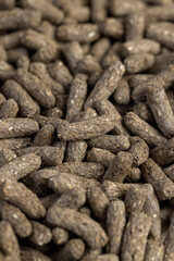 mixed food for healthy eating of rodent pets