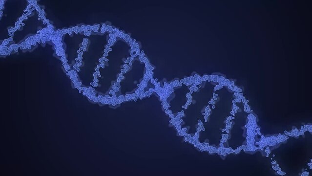 Medical concept - DNA model looping rotation animation