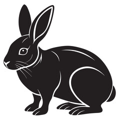 black and white rabbit