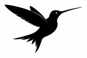 hummingbird silhouette vector illustration