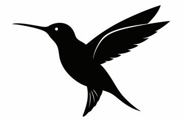 hummingbird silhouette vector illustration