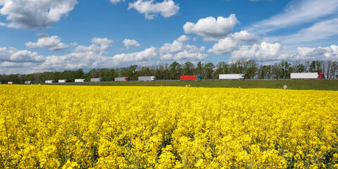 caravan of heavy vehicles moves along the highway against the backdrop of rapeseed field. sanctions...